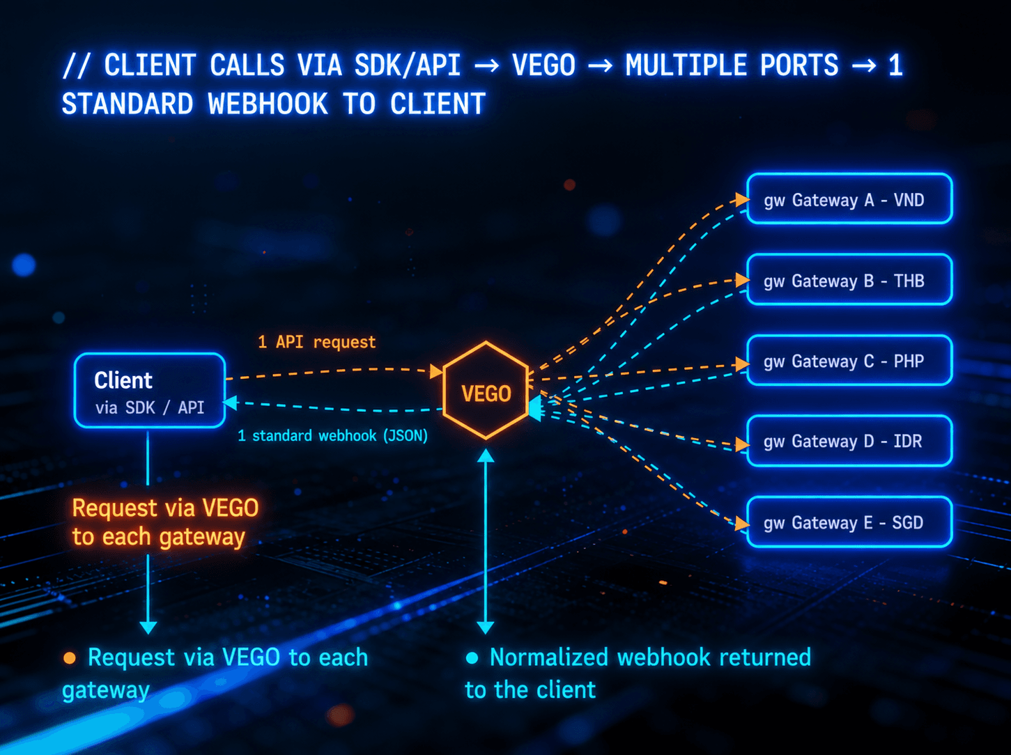 VEGO Payment Infrastructure